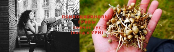 ешки Баксан